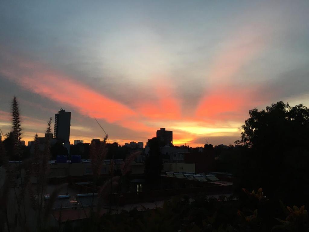 Extraordinario Penthouse Con Roofgarden En La Condesa Apartment *