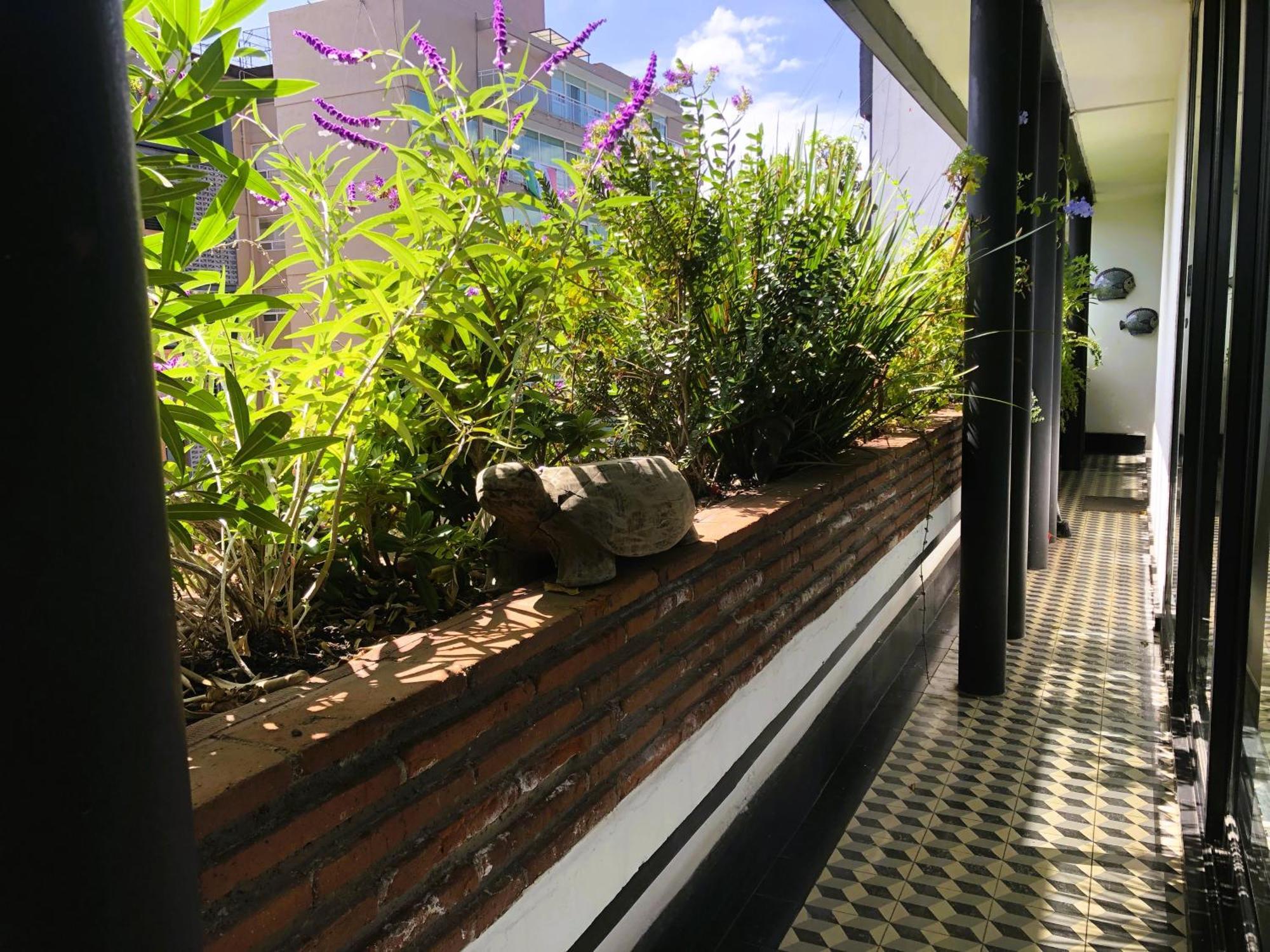 Extraordinario Penthouse Con Roofgarden En La Condesa Apartment Mexico City